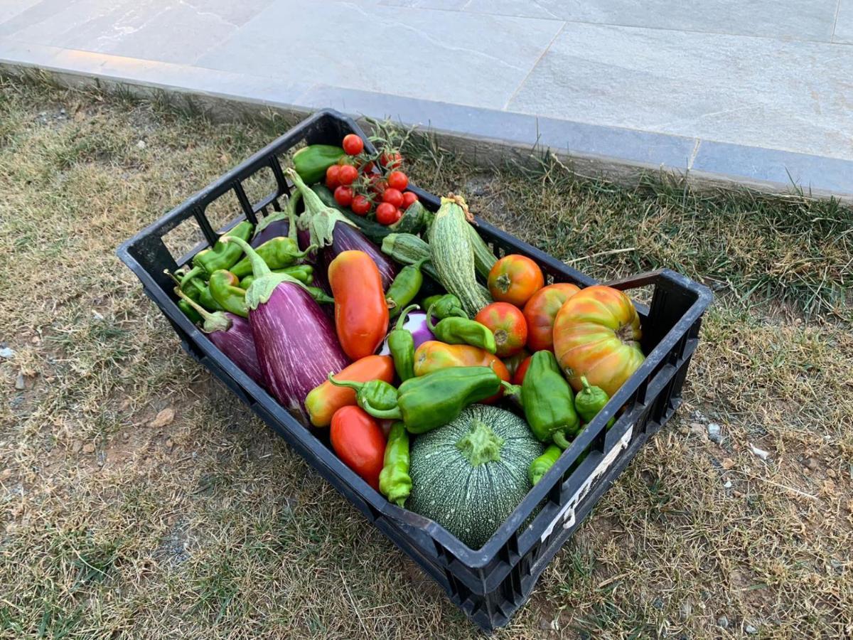 Appartamento Agriturismo Podere La Maestà Rosignano Marittimo Esterno foto