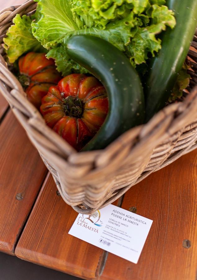 Appartamento Agriturismo Podere La Maestà Rosignano Marittimo Esterno foto